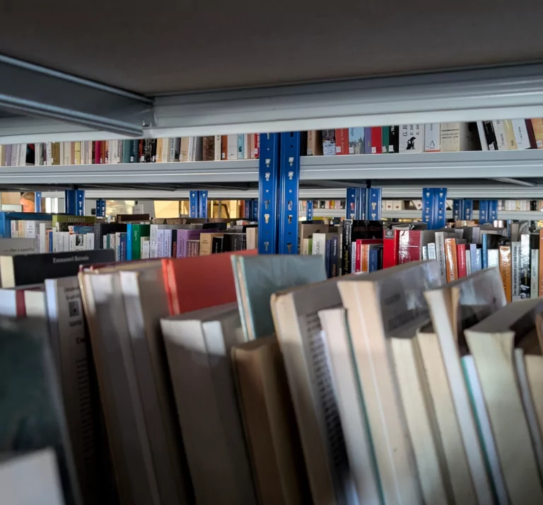 Livres entrepôt Lons