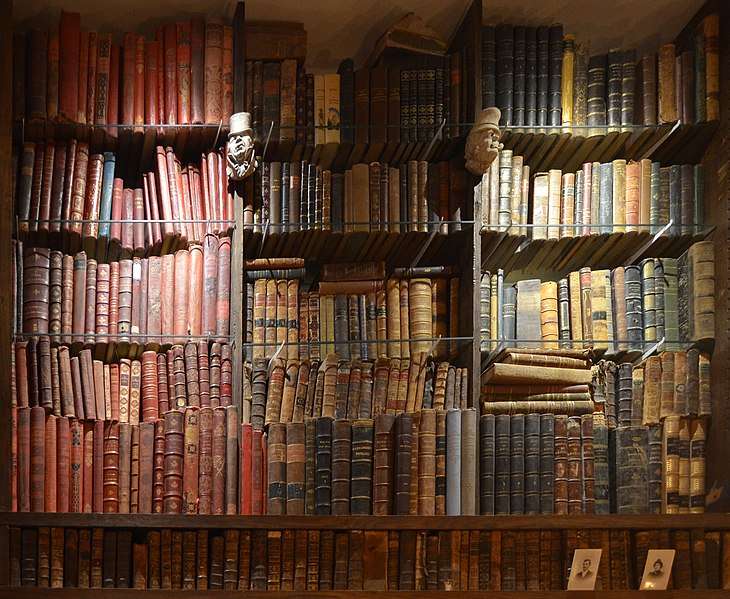 bibliotheque livres ancien